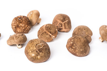 two white mushroom. isolated on white background