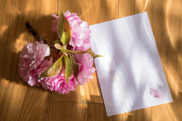 On a wooden surface lies a piece of paper on sakura flowers. Photo in pink dreamy colors. The composition is illuminated with colored light. Interference