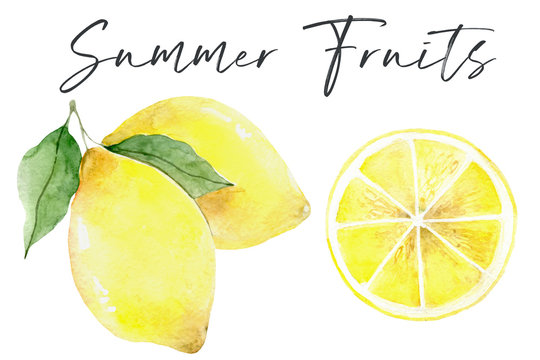 lemon. Fresh lemon fruits, collection of illustrations
