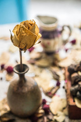 On focus dried rose in old vase