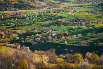 Spring time in beautiful agricultural landscape, green farm fields for animals and growing vegetables. Carpathian mountains, sunset light, blossom cherry trees.