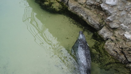 Santander is a very beautiful city in Cantabria, Spain