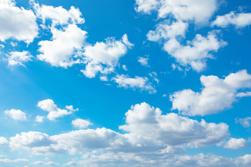 Fototapeta premium 青空