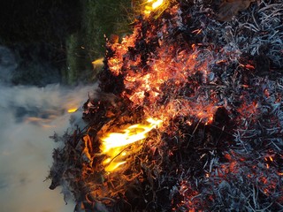 Fire © Dawid