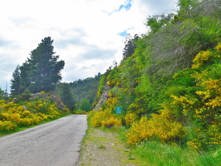 aventura al bosque