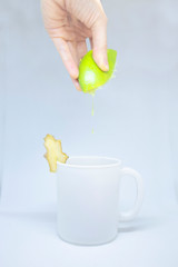 Close up on hand squeezing fresh lime juice in a white mug with slice of ginger. Isolated, on white background.