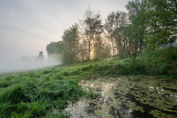 Mistige zonsopkomst aan de Leiemeersen in Lauwe - Menen.