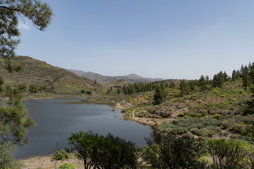 Fototapeta na wymiar Lago con fondo montañoso y árboles