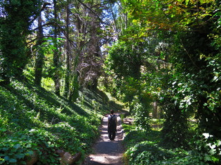 mujer en el bosque