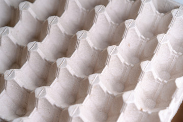 Cardboard packaging with egg cells