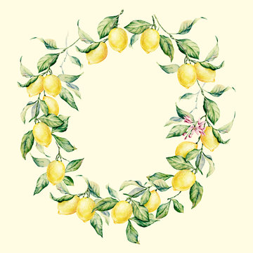 Hand drawn round frame of watercolor Lemon. Watercolor illustration wreath of lemon and leaves.