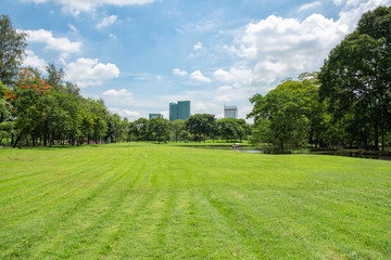 Fototapeta na wymiar City public park bangkok thailand. Big trees in the park and green grass.