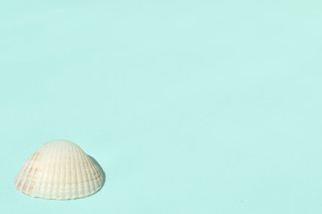 Summer travel background made of shells and starfish. Vacation and summer concept