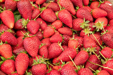 fresh strawberries in the market