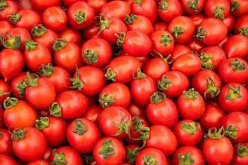 fresh red cherry tomatoes