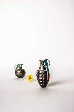 yellow tulip between grenades