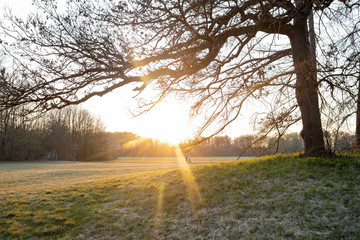 Fototapeta premium empty park at sunset with two people walking next to each other
