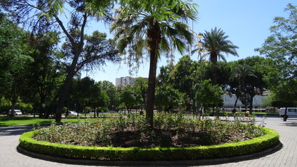Cordova is a beautiful city in Andalusia, Spain
