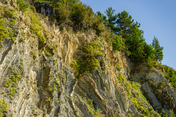 Fototapeta na wymiar Natural texture of Caucasus Mountains on the rocky coast of Black Sea in Olginka. Pines and shrubs grow on steep stone slopes. Stones and rock fragments of different sizes as original background.