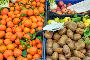 angerines, kiwis and apples for sale at a market
