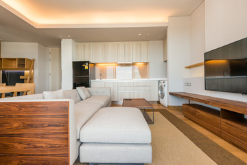 Modern living room design with sofa