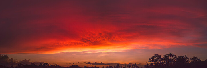 Fototapeta na wymiar silhouette tree and cloud at sunset panorama