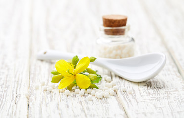 Homeopathic helidonium globules with helidonium majus flower