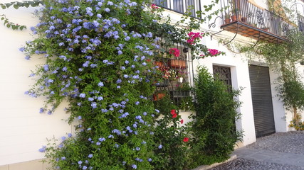 Fototapeta na wymiar Cordova is a beautiful city in Andalusia, Spain