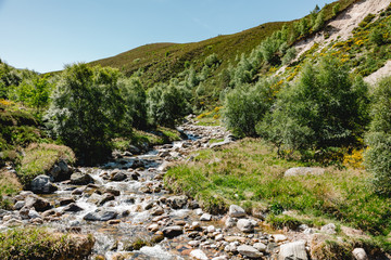 Fototapeta na wymiar Schottland Cairngorm Mountains nationalpark gebirgsbach