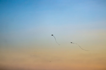 Flying kites in the sky during sunset