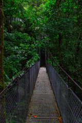 Puente clolgante entre dos montañas en la selva de Costa Rica