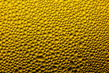 Lager beer bubbles in the glass