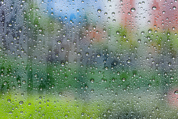 Rain drop on blurry green background