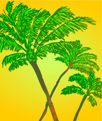 Fototapeta na wymiar Summer time Palm beach print and embroidery graphic design vector art