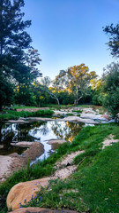 Fototapeta na wymiar Scenic green landscape and river, Johannesburg, South Africa