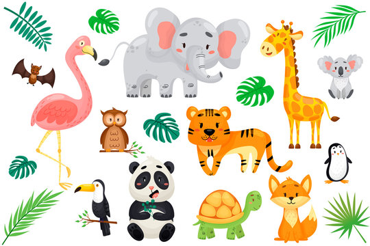 vector set of wild exotic animals in cartoon style. Flamingo, owl, bet, koala, toucan, fox, panda, tiger, giraffe, penguin on white isolated background.
