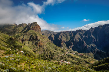 Fototapeta premium Masca