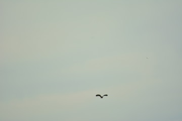 In Zschopau Erzgebirge