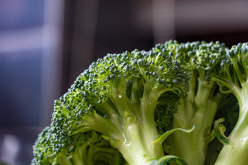 Broccoli Crowning Head