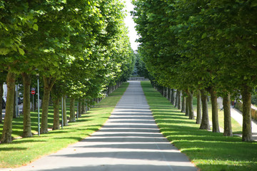 Cours Dajot public garden with avenues lined with elm trees, knee-high box hedges and lawns. The park took shape in 1769 and was built with labour from the port’s penal colony. Best, Brittany, France.
