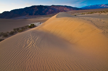 Fototapeta na wymiar The Mesquite Flat Sand Dunes Near the Foot of Tucki Mountain, Death Valley National Park, California, USA