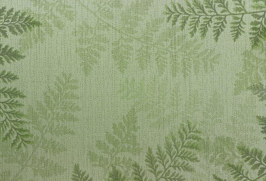 A close up color image of fern leaves and fern branches.