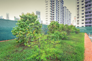 Obraz na płótnie Canvas Eco friendly tropical garden with brick walkway at rooftop of modern condominium in Singapore