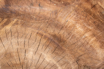 Fototapeta premium Brown wooden texture . background