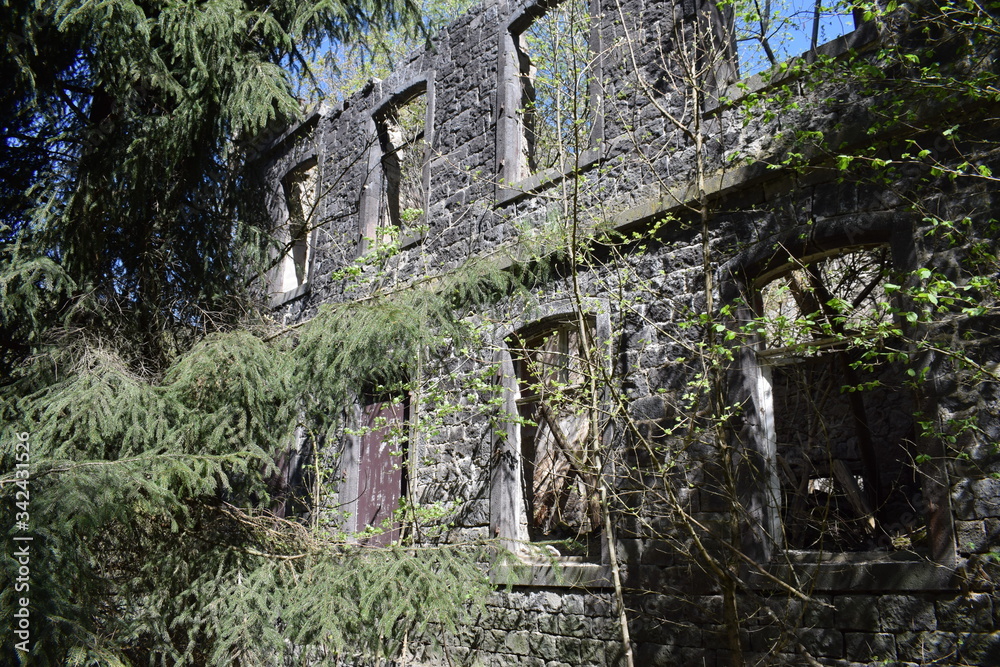 Canvas Prints Ruine einer alten Mühle im Nettetal