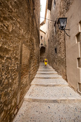 Fototapeta premium narrow streets of the old town, Girona Spain