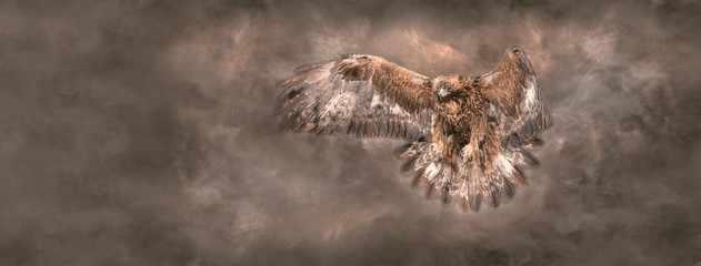 Golden eagle dives through smoke. Sized to fit for cover image on popular social media site