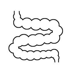 Intestine. Internal human organ. Long Gut. Line silhouette Digestive canal and system. Medical health. Cartoon flat illustration. Healthy bowel