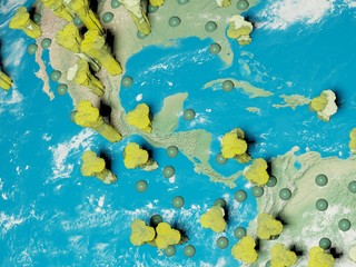 Fototapeta na wymiar Digital image corona virus on planet Earth by countries