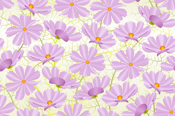 Fototapeta na wymiar Vector purple cosmea flower seamless pattern